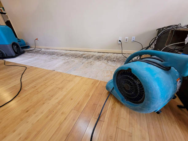 Professional Water Extraction technician working in Burghill, OH